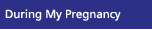 During Pregnancy