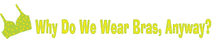 Why Do We Wear Bras Anyway